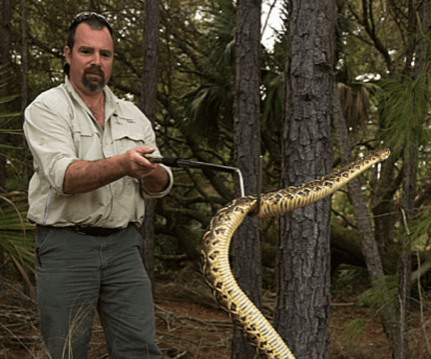 Live Venomous Snake Handling With Chris Jenkins